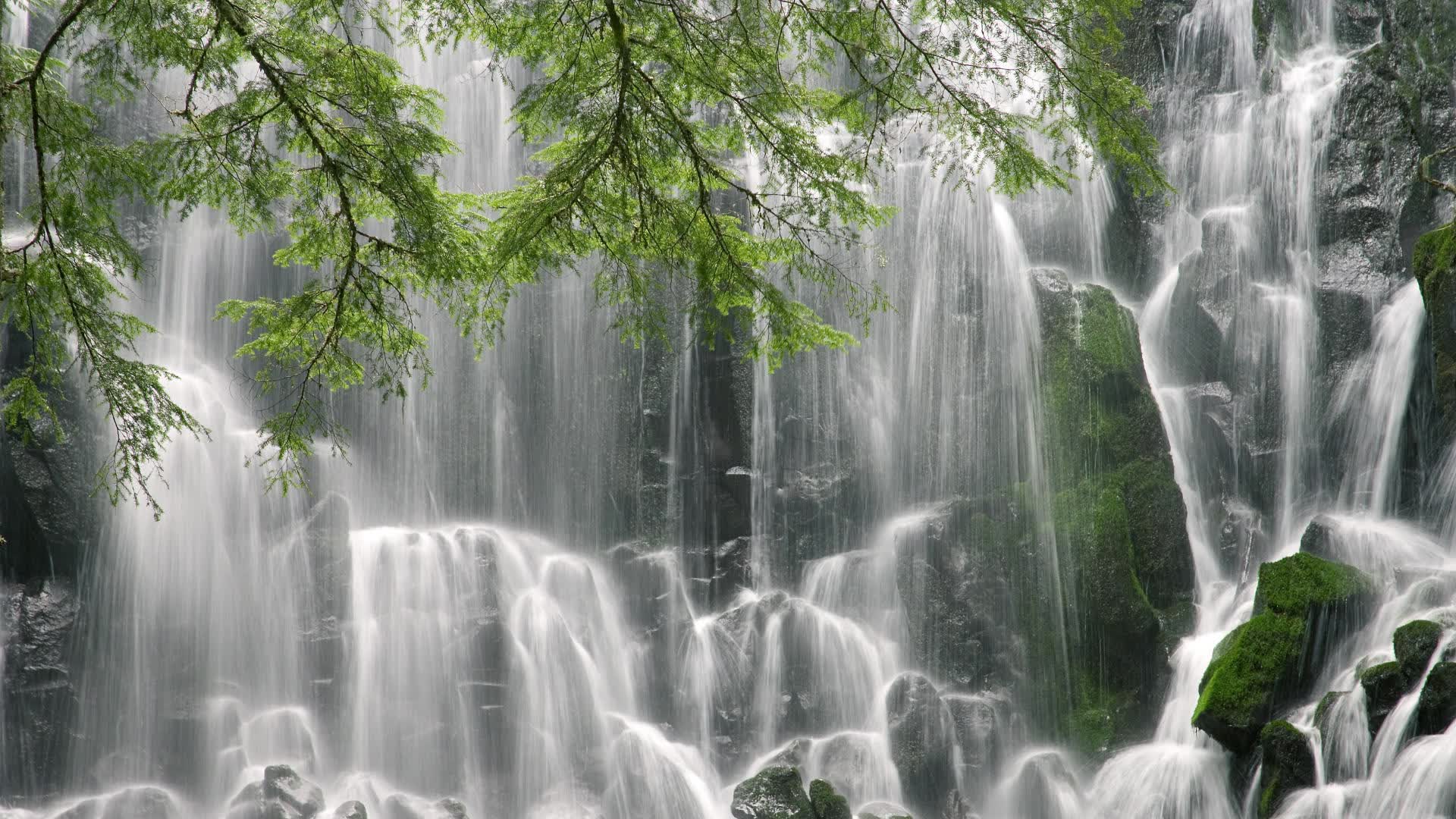 世界体操单项赛赛场志愿者资源库上线供各地调用,世界体操组织
