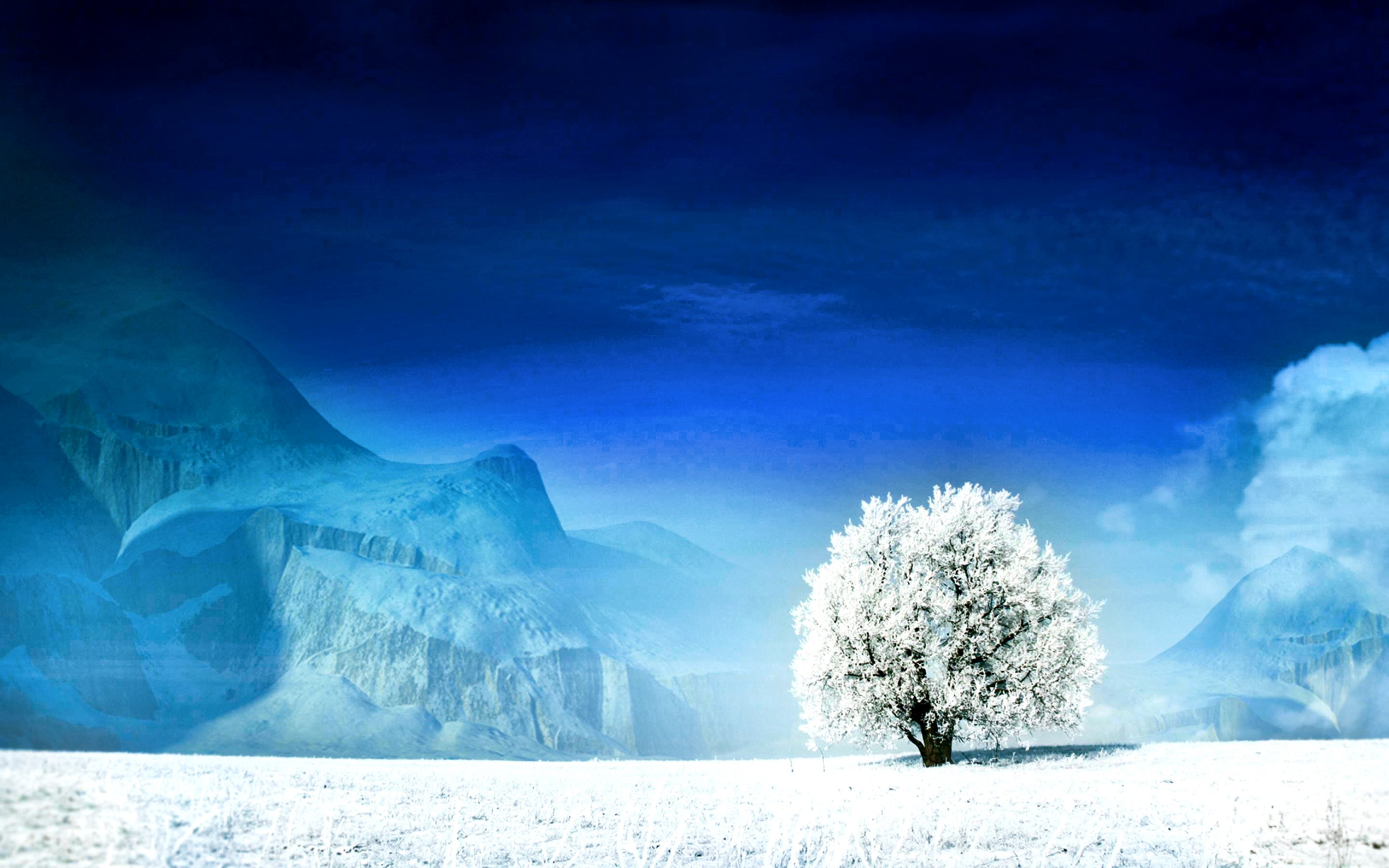 世界滑雪青少年训练营招生启动,国际青少年滑雪比赛
